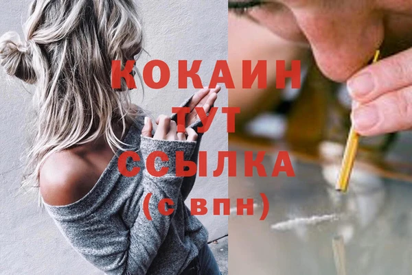 метадон Ельня