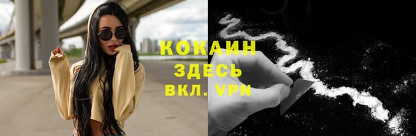 эйфоретик Аша