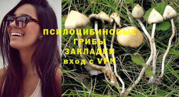 2c-b Елизово