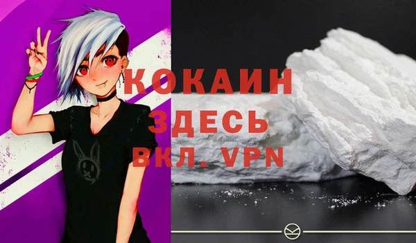 метадон Ельня