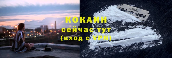 метадон Ельня