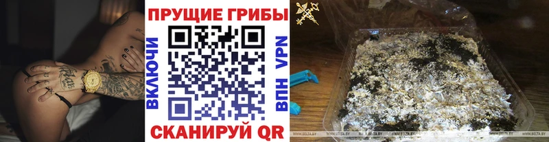 Псилоцибиновые грибы Magic Shrooms  Камбарка 